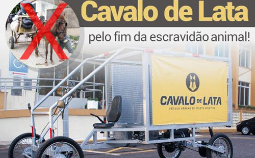 cavalo